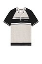 view 4 of 5 Metallic Mesh Stripe Zip Polo in Silver & Black