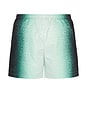 view 2 of 5 Jacquard Printed Swim Shorts in Gradient