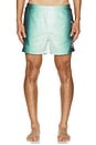 view 4 of 5 Jacquard Printed Swim Shorts in Gradient