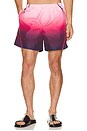 view 1 of 5 Aubergine Gradient Printed Swim Shorts in Aubergine Gradient