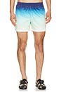 view 1 of 5 Jacquard Swim Shorts in Gradient Monogram