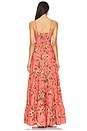 view 3 of 3 Ashton Dress in Chintz Guava