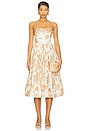 view 1 of 3 Anisha Dress in Farfella Border Egret