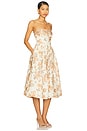 view 2 of 3 Anisha Dress in Farfella Border Egret