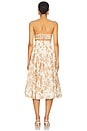 view 3 of 3 Anisha Dress in Farfella Border Egret