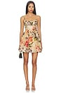 view 1 of 3 Alba Mini Dress in Margaux Bloom Ginger