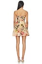 view 3 of 3 Alba Mini Dress in Margaux Bloom Ginger