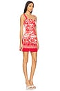 view 2 of 3 Anna Dress in Dentelle Coral