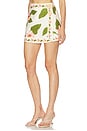 view 3 of 6 Fischer Mini Skirt in Lotus Ivory