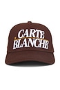 view 1 of 3 The Classic Snapback Hat in Chocolate