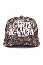 view 1 of 3 The Classic Snapback Hat in Camo