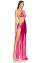 view 2 of 5 Villa Butterfly Maxi Dress in Barbie