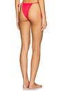 view 3 of 4 Cove String Bikini Bottom in Cherry