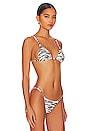 view 2 of 4 Reef Bikini Top in Animal