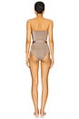 view 3 of 4 Scorpio Classic One Piece Swimsuit in Latte