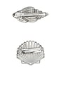 view 2 of 2 SEASIDE クリップセット in Silver Shell