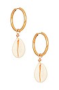view 1 of 3 Prima Earrings in Cowrie