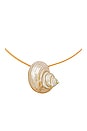 view 2 of 2 Jules Cord Necklace in Shell
