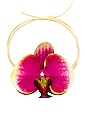 view 1 of 2 Nanea Wrap Necklace in Lilikoi