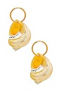 view 2 of 3 Shell Earrings in Pearl