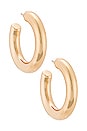 view 1 of 3 Dallas Hoop Earrings in Gold
