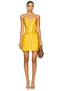 view 1 of 3 Jolie Dress in Nizaambar