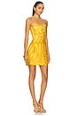 view 2 of 3 Jolie Dress in Nizaambar