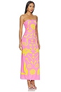 view 2 of 3 Daphne Dress in Aiuolerosa