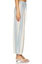 view 3 of 6 Cabana Stripe Pant in Tide Stripe