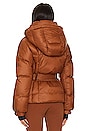 view 4 of 5 Monterosa Jacket in Chestnut