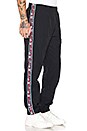 view 3 of 5 Champion Elastic Cuff Pants in Black