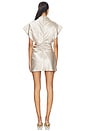 view 3 of 3 Beckford Mini Dress in Silver