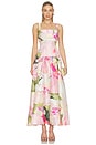 view 1 of 3 Reeve Maxi Dress in Garden Afternoon