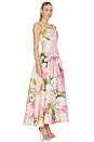view 2 of 3 Reeve Maxi Dress in Garden Afternoon