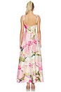 view 3 of 3 Reeve Maxi Dress in Garden Afternoon