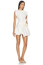 view 2 of 4 Falldon Mini Dress in Ivory