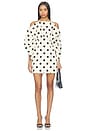 view 1 of 3 Ketch Mini Dress in Dotty