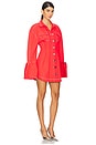 view 2 of 3 Dales Mini Dress in Chilli