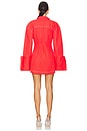 view 3 of 3 Dales Mini Dress in Chilli