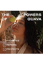 view 6 of 12 Guava Travel Kit in 