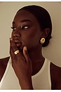 view 6 of 8 Mavis Earrings in Gold