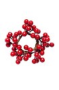 view 2 of 2 Red Berry Napkin Rings in Red Berry