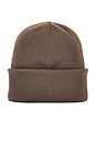 view 2 of 2 Arctic Toque in Taupe Grey