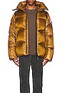 view 5 of 5 Crofton Puffer in Klondike Gold