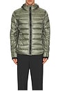 view 5 of 6 Crofton Hoody in Sagebrush