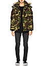 view 6 of 6 BLOUSON WYNDHAM in Classic Camo