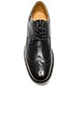 view 3 of 5 Lunargrand Long Wingtip in Black