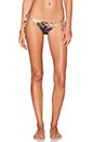 view 1 of 4 Grecian Coin String Bikini Bottom in Cocoa California Palm