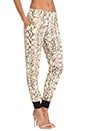 view 2 of 3 Track Pant in Yellow Python