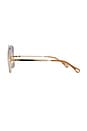 view 3 of 3 Aly Sunglasses in Gold & Blue